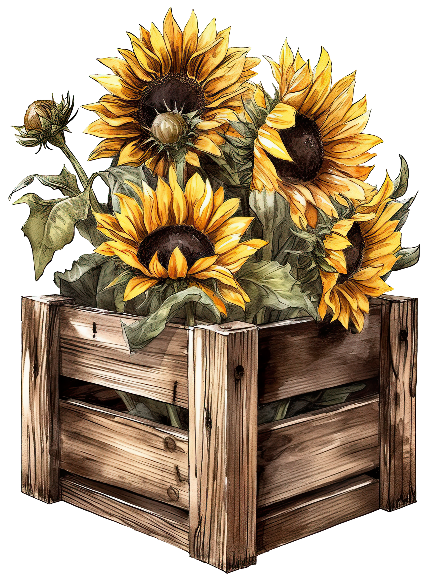 Sunflowers Box DTF Print